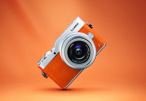 自撮りが多い人は「LUMIX DC-GF9」