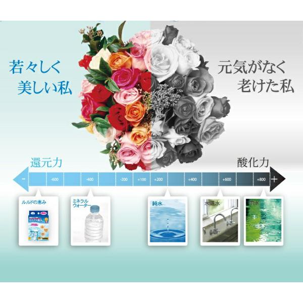 楽天市場】エコロ・インターナショナル 高濃度水素水 ルルドの恵み