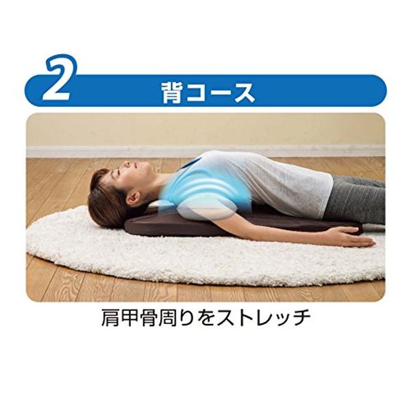 楽天市場】ツカモトコーポレーション ポルト エアーストレッチマット