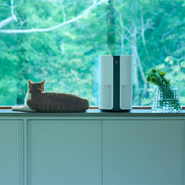 楽天市場】ツカモトコーポレーション duux 空気清浄機 18畳まで