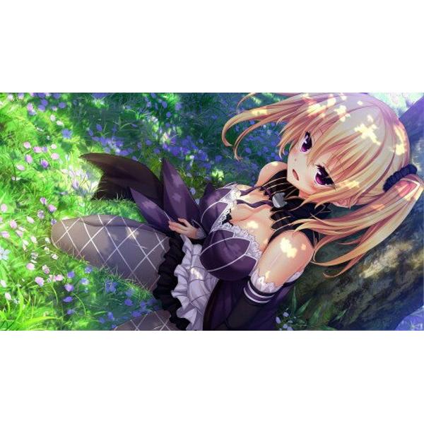 Amazon.co.jp: ノラと皇女と野良猫ハート HD プレミアム版