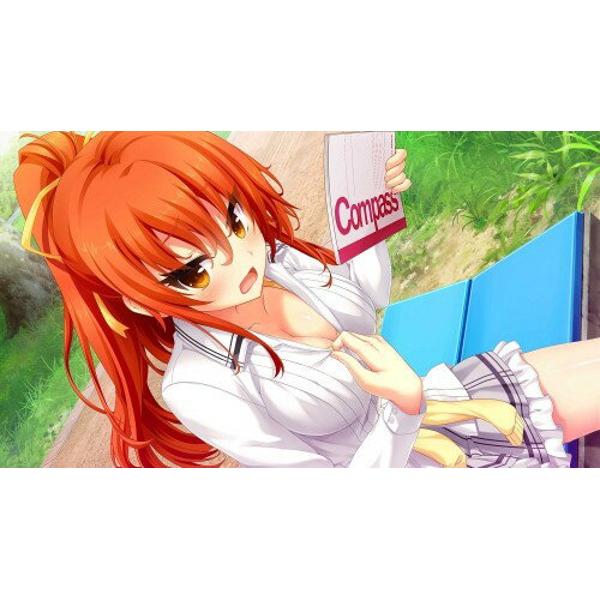 Amazon.co.jp: ノラと皇女と野良猫ハート HD プレミアム版