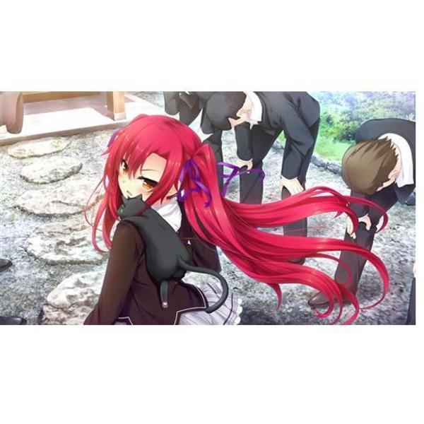 Amazon.co.jp: 2本セット ノラと皇女と野良猫ハート2+1 HD