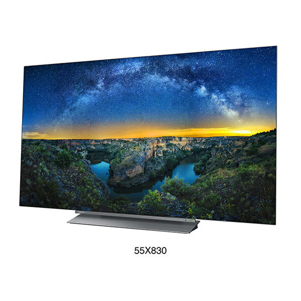 楽天市場】TVS REGZA TOSHIBA 有機ELテレビ REGZA X830 55X830 | 価格
