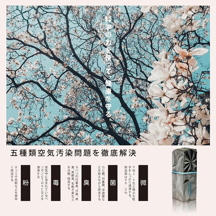 楽天市場】江沢製作所 G&K空気魔法瓶 加湿式マイナスイオン発生器