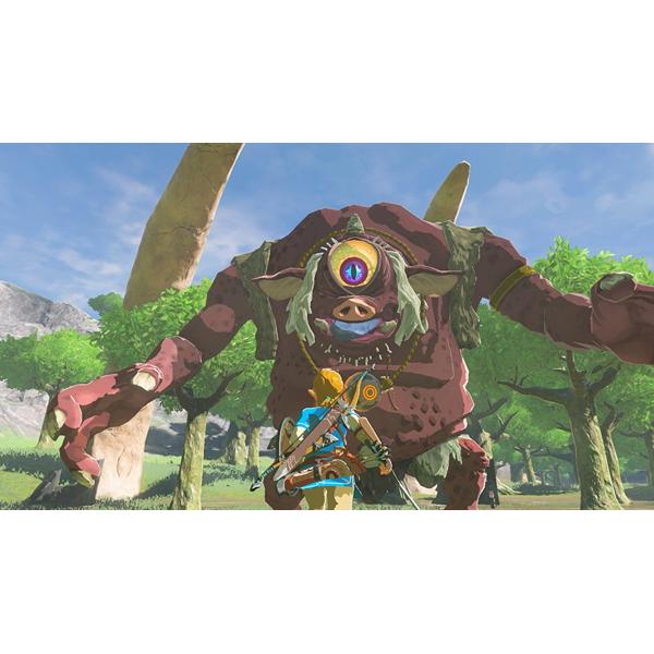 Amazon.co.jp: ゼルダの伝説 ブレス オブ ザ ワイルド【Nintendo