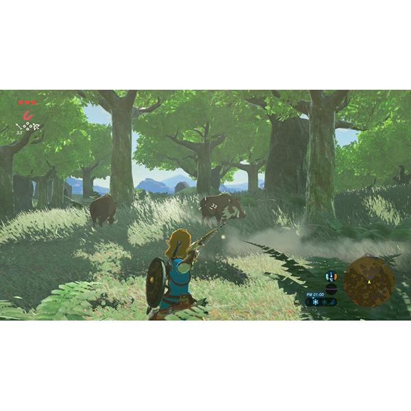 Nintendo Switch - ゼルダの伝説 ブレス オブ ザ ワイルド/Switch/HACPAAAAA/B ゼルダの伝説 ブレス オブ ザ ワイルド Nintendo Switch 2