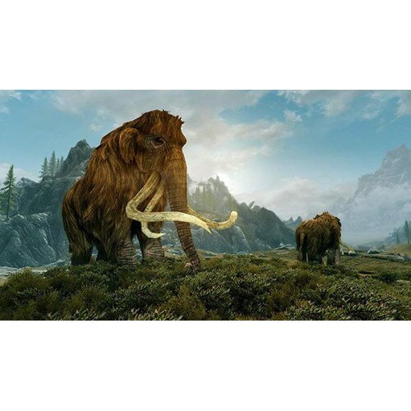 楽天市場】任天堂 Switch The Elder Scrolls V