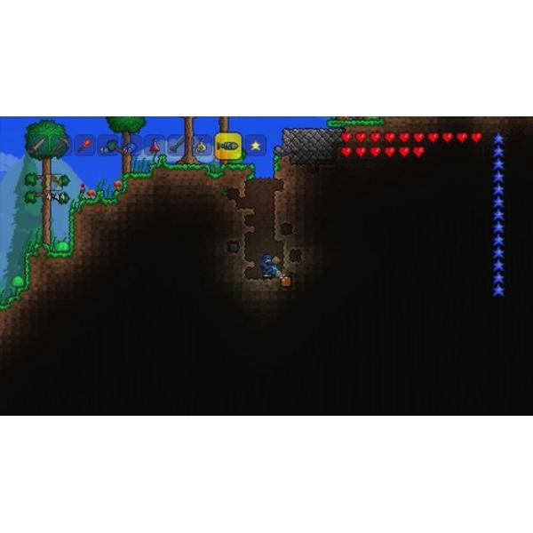 テラリア IPF / EXPリアラダー for デリカD:5