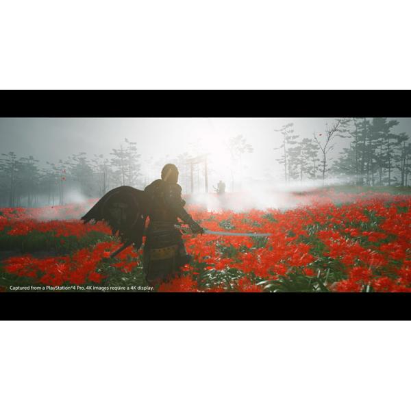 PlayStation4 - ゴーストオブツシマ　ps4 T.M様用 Amazon.co.jp: 【PS4】Ghost of Tsushima Director's Cut : ゲーム