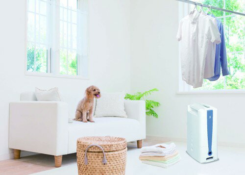 TOYOTOMI Karalina 除湿機 衣類乾燥機 TD-ZB80I 楽天市場】トヨトミ TOYOTOMI デシカントタイプ衣類乾燥除湿機