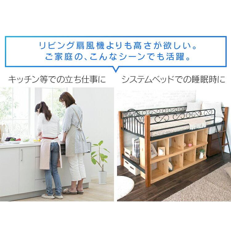 楽天市場】アイリスオーヤマ DCフロア扇風機 ホワイト PF-401FD-W