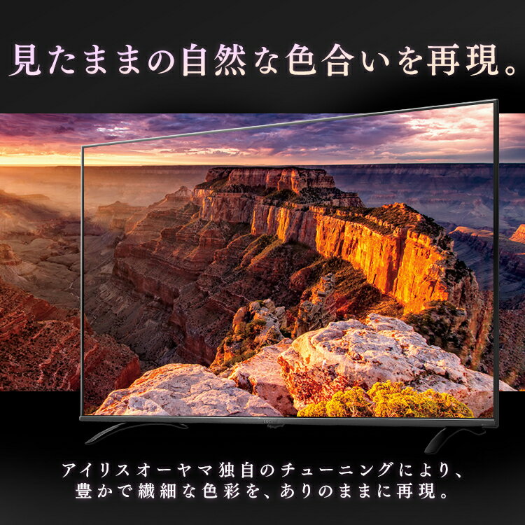 楽天市場】アイリスオーヤマ IRIS 4K対応液晶テレビ LT-65B620 | 価格