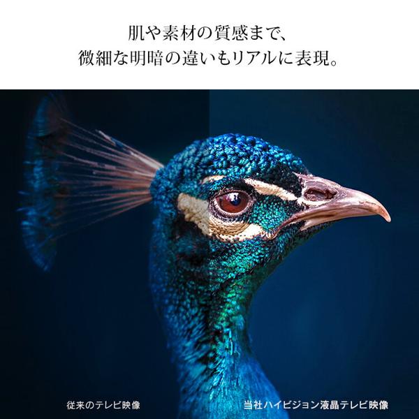 ハイビジョン液晶テレビ24V 24WB10 アイリスオーヤマ Amazon.co.jp: アイリスオーヤマ 24V型 液晶 テレビ 24WB10PB