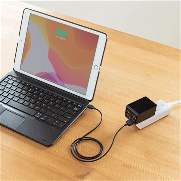 楽天市場】サンワサプライ SANWA SUPPLY 10.2インチiPad専用ケース SKB
