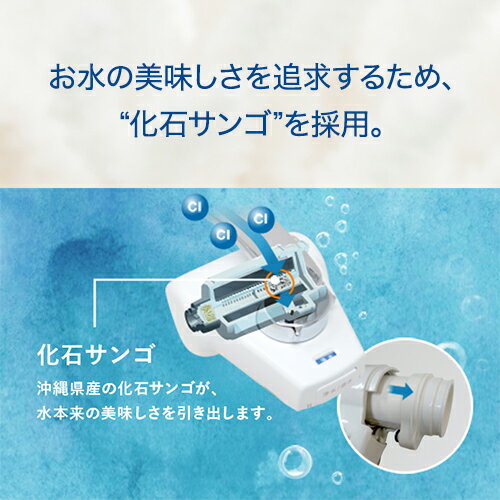 きよまろプラス対応　高除去タイプ　4個セット Amazon | ダイト薬品 浄水器 蛇口 直結型 きよまろプラス 日本製