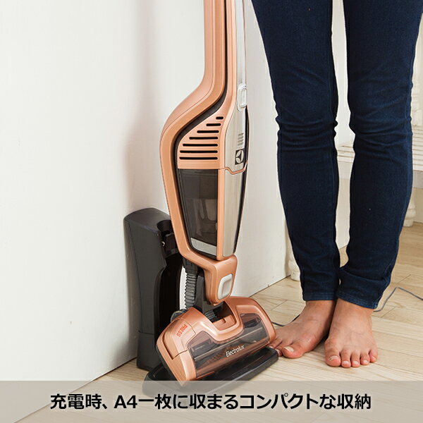 楽天市場】Electrolux サイクロン式スティック&ハンディクリーナー