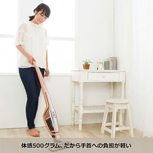 楽天市場】Electrolux サイクロン式スティック&ハンディクリーナー