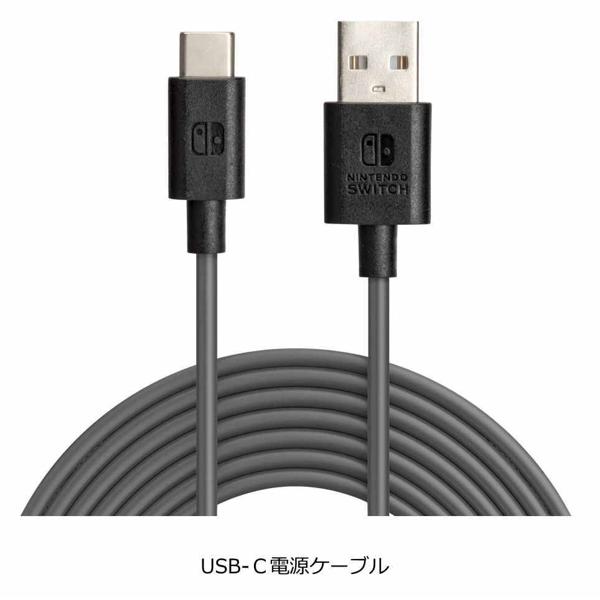 楽天市場】Nintendo SWITCH ケース ポケモン リザードン スターター