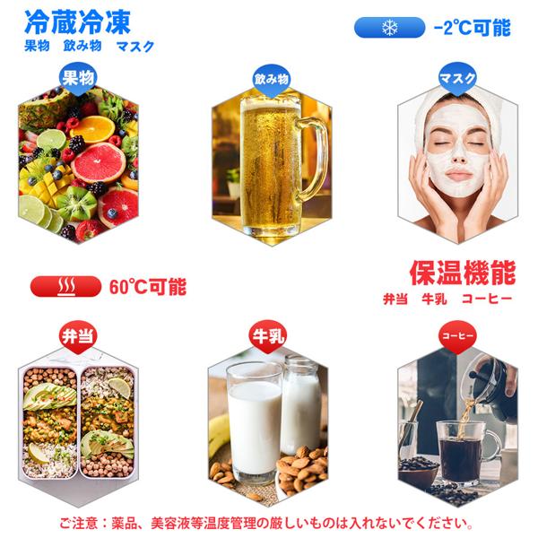 Paxcess 10L 冷温庫（PA-10L） Paxcess 10L 冷温庫（PA-10L） PA X 10-10 - Pfannenberg USA