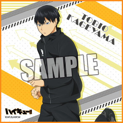 楽天市場 ブロッコリー ハイキュー マイクロファイバーミニタオルpart 3影山飛雄 価格比較 商品価格ナビ