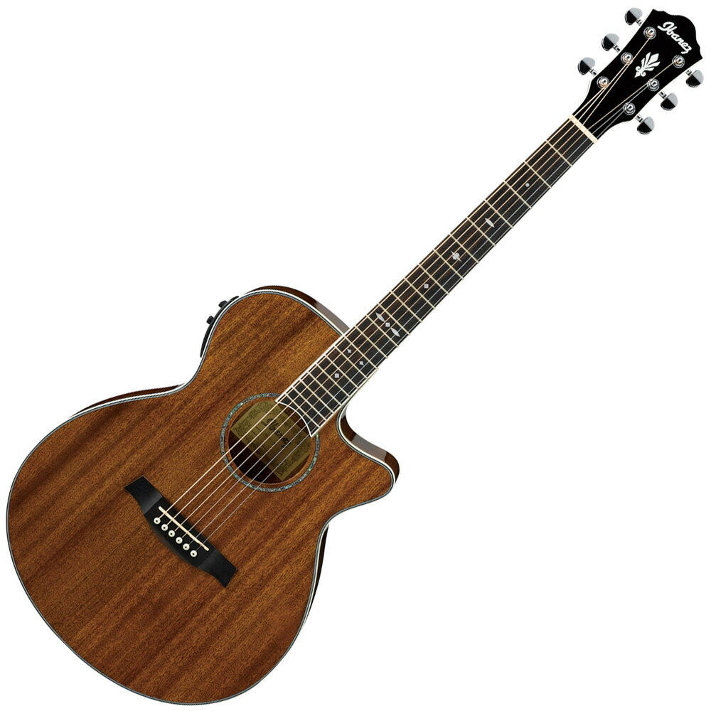 楽天市場】星野楽器 IBANEZ AEG12II NMH エレクトリック