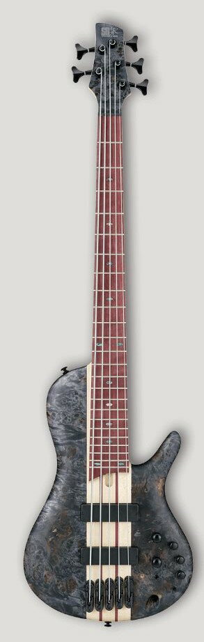 楽天市場】星野楽器 ibanez/アイバニーズ bass workshop srsc805 deep twilight flat  s/n:#i160115941 アイバニーズ イケベ ダブルネーム クロス&ピック | 価格比較 - 商品価格ナビ