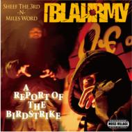 A　REPORT　OF　THE　BIRDSTRIKE/ＣＤ/DLIP-0007