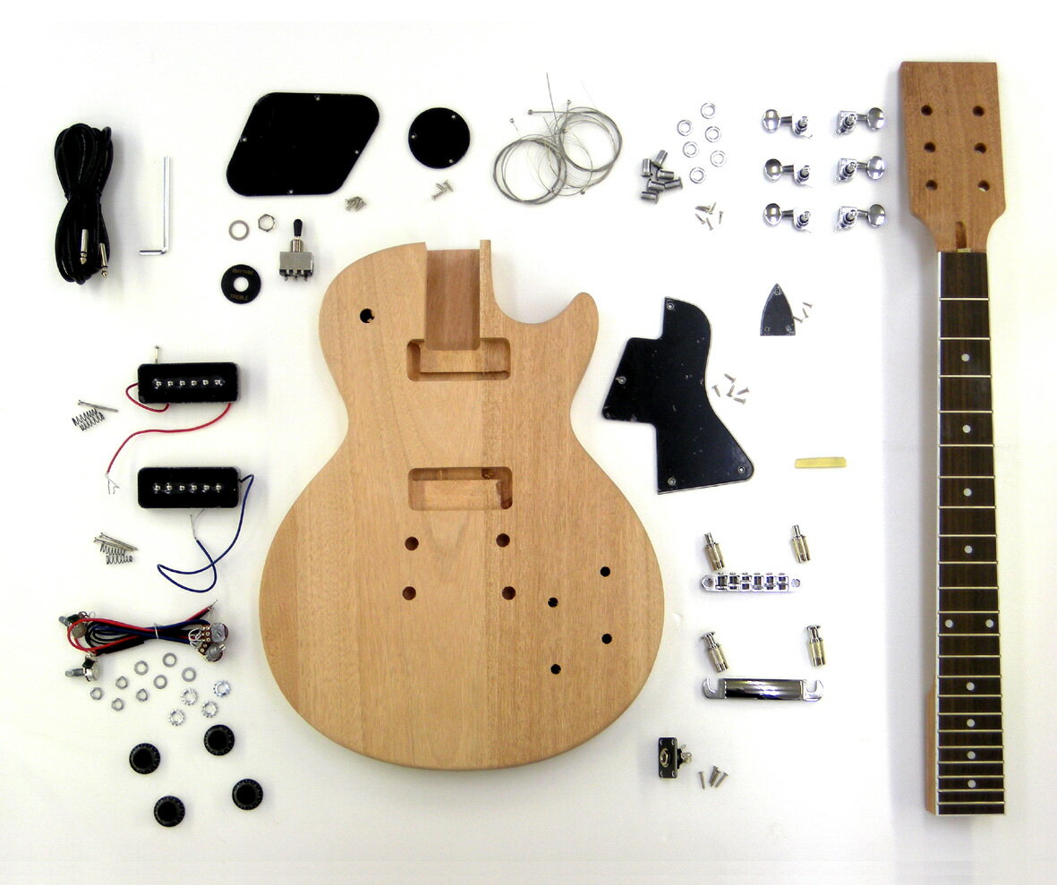 楽天市場】ホスコ ER-KIT-SLP ホスコ 楽器製作キット エレキギター、LP  