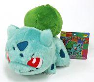 楽天市場 ポケモン ポケモンセンターオリジナル ふわボアぬいぐるみ フシギダネ 価格比較 商品価格ナビ