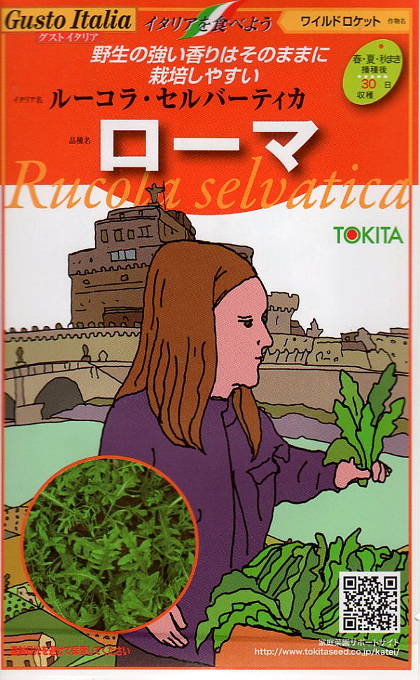 激安 野菜の種 種子 ヴェネチア ラディッキョ ロッソ キオッジャ チコリー イタリア野菜 80粒 メール便発送