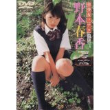 楽天市場 バウ ハウス 野本春香 美少女ソナタ 野本春香dvd 新品 価格比較 商品価格ナビ