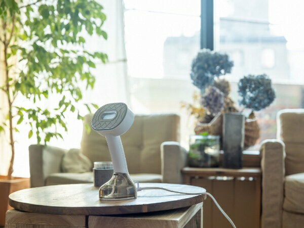 CONAIR 衣類スチーマー エクストリームスチーム ライト GS-55J