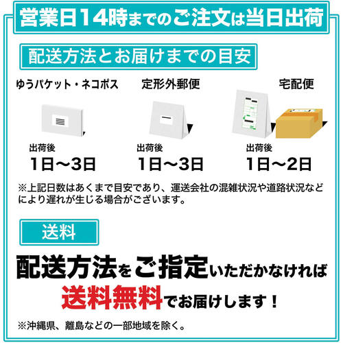 HORIC HDMI-DVI変換ケーブル 2m HADV20-702BB