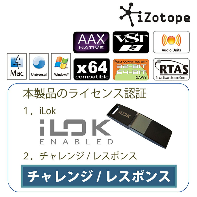 VocalSynth 2 オンライン納品 iZotope