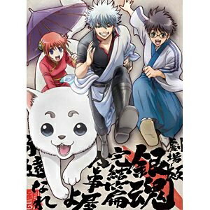 劇場版銀魂　完結篇　万事屋よ永遠なれ（完全生産限定版）/ＤＶＤ/ANZB-9595