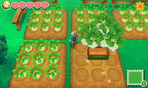 牧場物語 つながる新天地/3DS/CTRPBTSJ/A 全年齢対象