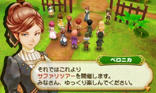 牧場物語 つながる新天地/3DS/CTRPBTSJ/A 全年齢対象