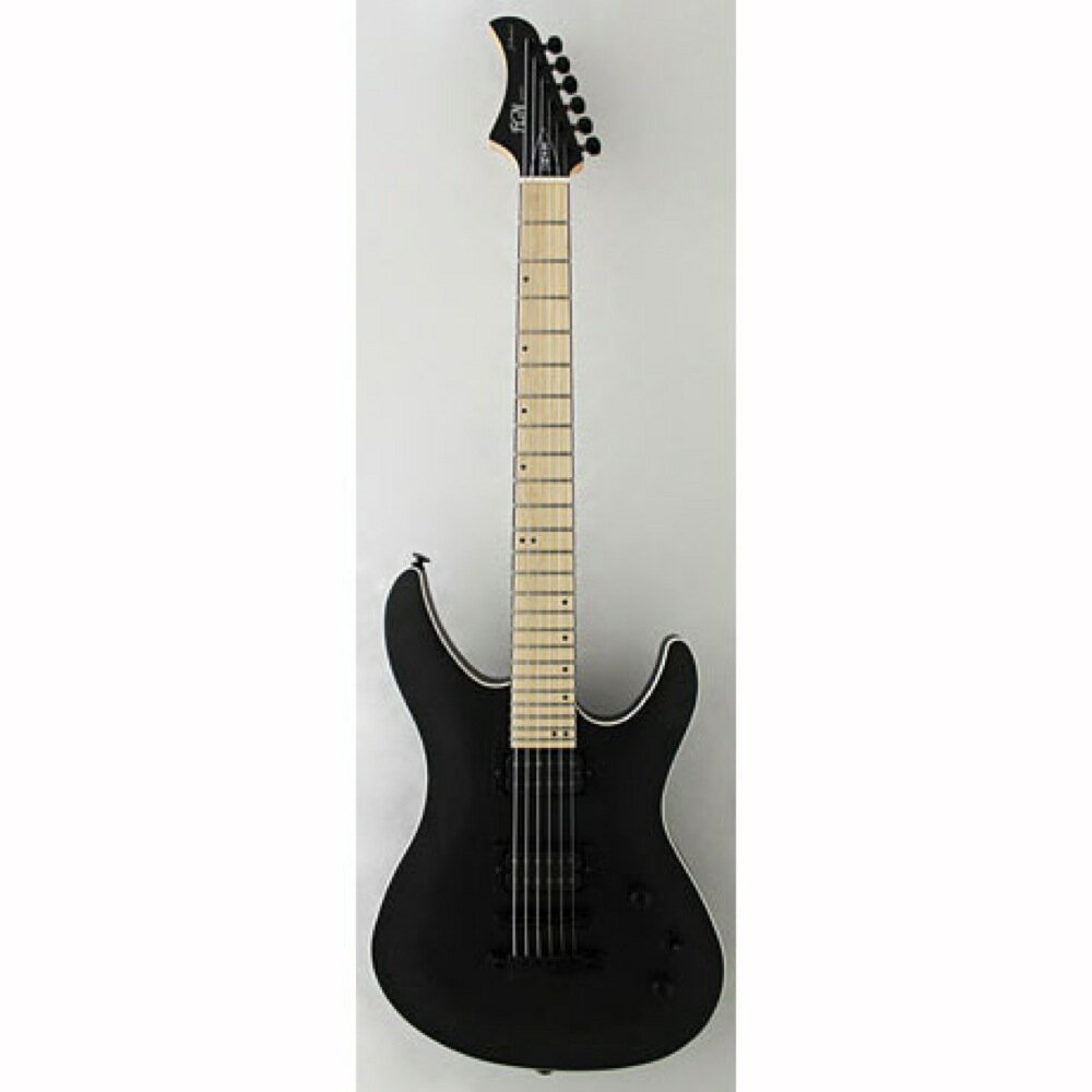 楽天市場】フジゲン FUJIGEN / FgN J-Standard JMY-ASH-M TBF | 価格 