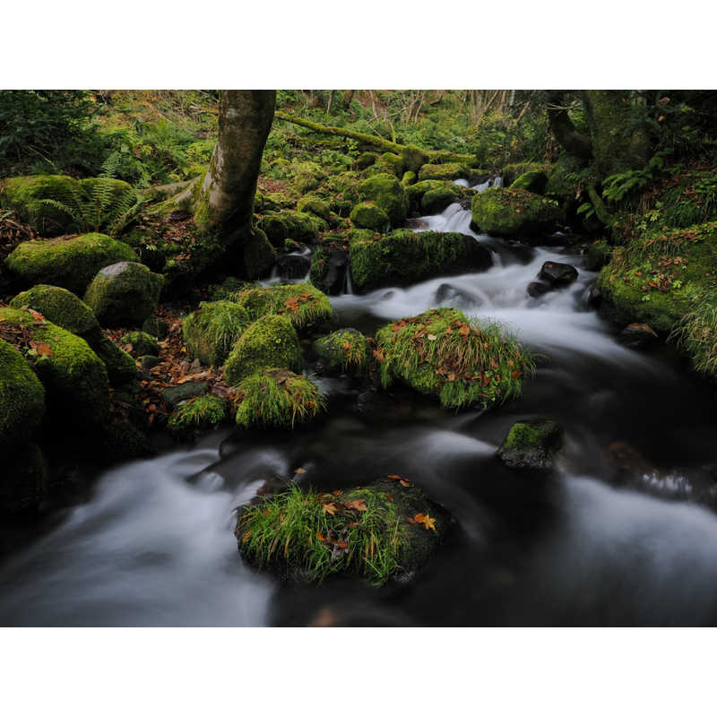 OM SYSTEM 交換用レンズ マイクロフォーサーズ ED12-40F2.8 PRO II