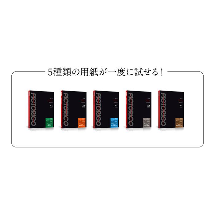 PICTORICO プロ コレクションパック A4 フォトペーパー PPX3-A4/10