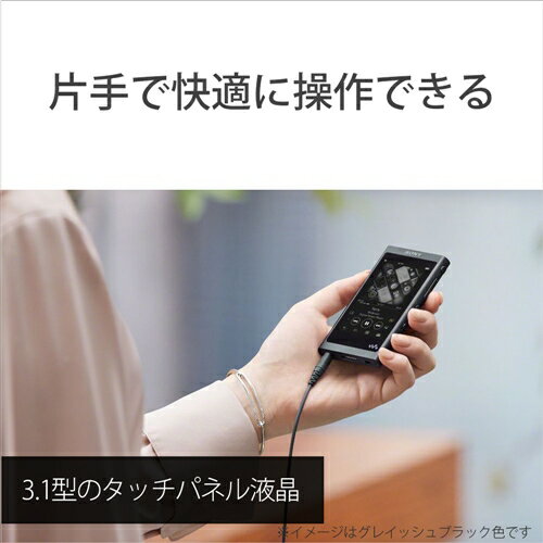【楽天市場】ソニーグループ SONY ウォークマン Aシリーズ NW-A55HN(L) | 価格比較 - 商品価格ナビ