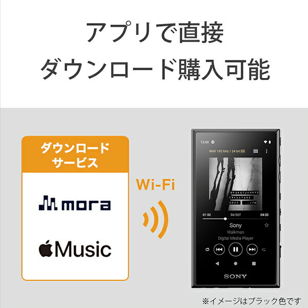 A4等級以上 SONY ウォークマン Aシリーズ NW-A107(L) micoSD32GB付