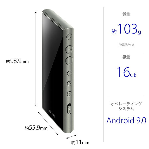 楽天市場】ソニーグループ SONY ウォークマン Aシリーズ NW-A105(G