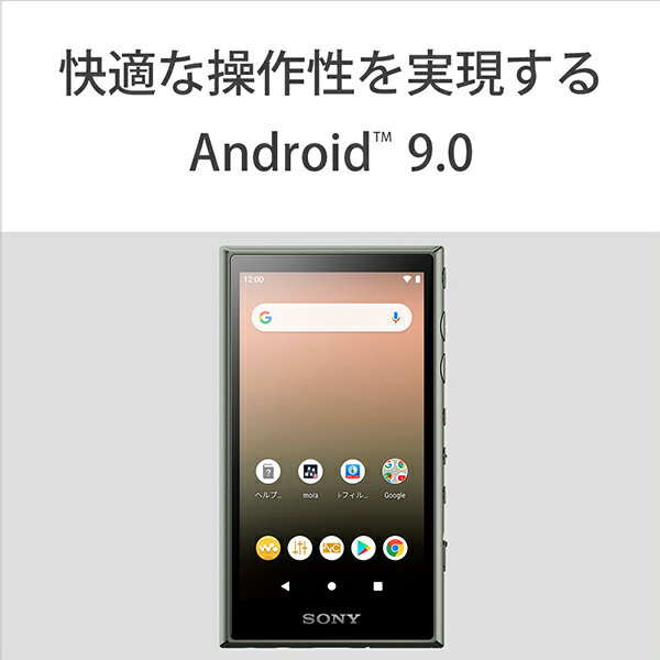 SONY ウォークマン Aシリーズ NW-A106(G)