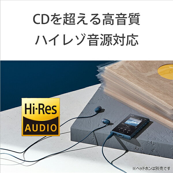 SONY ウォークマン Aシリーズ NW-A106(L)