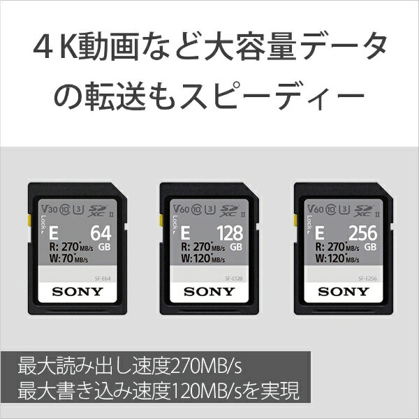 【楽天市場】ソニーグループ SONY SDXC UHS-II メモリーカード SF-E256 | 価格比較 - 商品価格ナビ