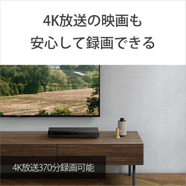 11BNE1VSPS2/11BNE2VPPS2/11BNE3VNPS2/11BNE3VZPS2 | 記録