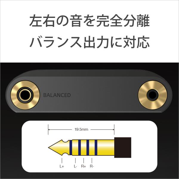 SONY ウォークマン WM1シリーズ NW-WM1AM2