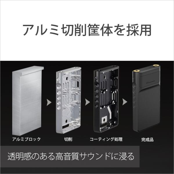 SONY ウォークマン WM1シリーズ NW-WM1AM2
